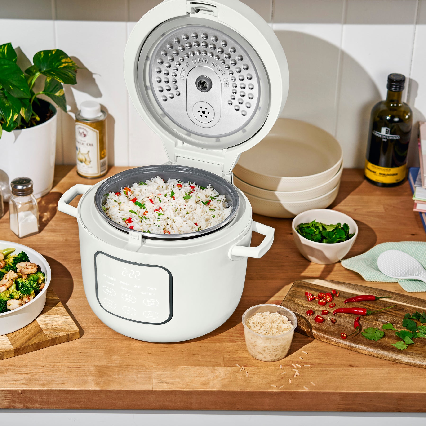 14-Cup Cooker, 6-Cups Uncooked Rice and Grain Cooker – Beautiful™